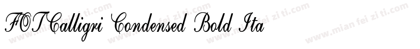 FOTCalligri Condensed Bold ItalicVe字体转换